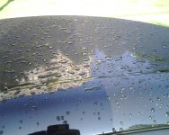IMG00136.jpg
