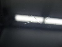 IMG_1494.jpg