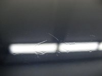 IMG_1495.jpg