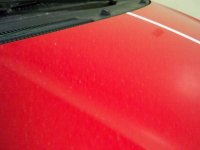 100_0319.jpg