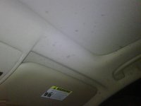 IMG00188-20100122-1758.jpg