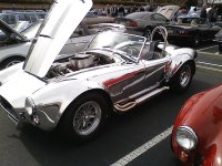 polished_cobra0.jpg