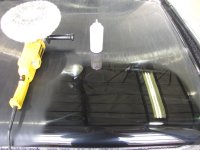 IMG_1174.jpg