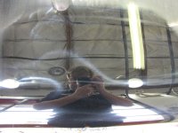 IMG_1175.jpg