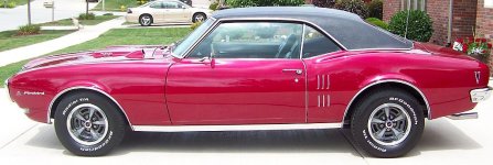 Small Firebird.jpg
