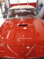 IMG_1395.jpg