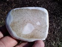 Claybar - Cell pic.jpg