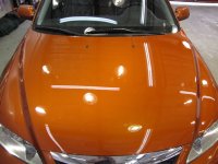 IMG_1419.jpg