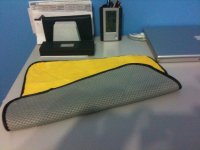 photoyellow1.jpg