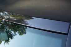 DSC_0111_2.jpg