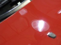 IMG_0539.jpg