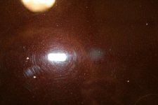 IMG_3241.jpg