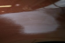 IMG_3250.jpg