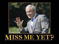 miss-me-yet-1.jpg