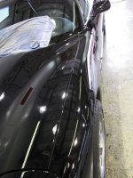 IMG_1865.jpg