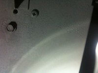 fp closeup.jpg