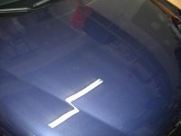 IMG_2936.jpg