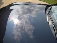 IMG_2942.jpg