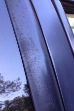 photo(11).JPG