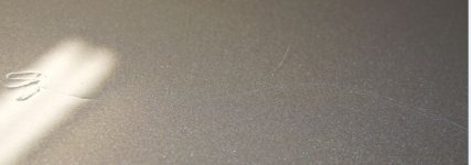 Closeup2.JPG