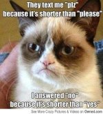 grumpy_cat_trolling_logic_540.jpg