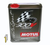 motul300vmotorsportlg.jpg
