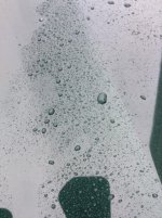 megs beeding.jpg