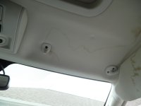 SAM_0040.jpg