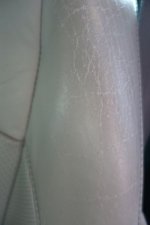DSC01379x.jpg