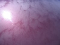 IMG_0004.jpeg