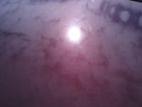 IMG_0008.jpeg