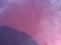 IMG_0029.jpeg