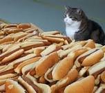 images.jpg