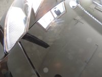 DSCN3513.JPG