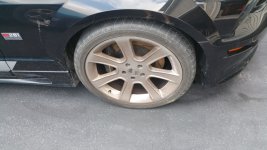 saleen2.jpg