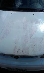 IMAG0862.jpg