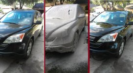 CRV-TreesSap-B4,During,After..jpg
