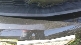 20150712_093245.jpg