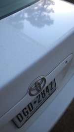Trunk Test Spot.jpg
