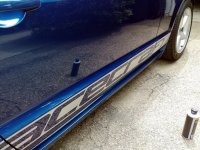 Stang.jpg