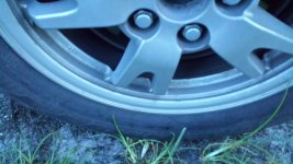 20150820_065333.jpg