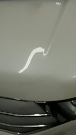 image.jpeg