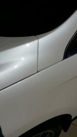image.jpeg