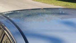 20150619_090302.jpg