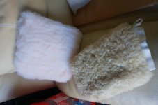 DSC01318.jpg