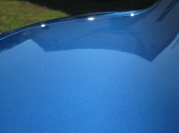 IMG_1879.jpg