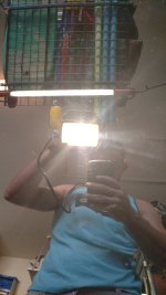 IMG_20151129_122950086_zpssxfv7fld.jpg