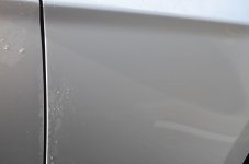 DSC_0245.jpg