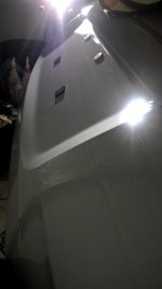 Trunk Polished.jpg