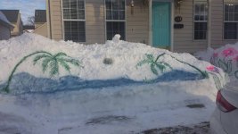 Blizzard2016.jpg